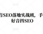 王通·抖音SEO落地实战班，手‬手带你做好音抖‬‬SEO