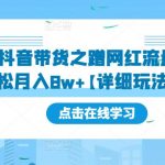 最新抖音带货之蹭网红流量玩法，轻松月入8W+【详细玩法教程】