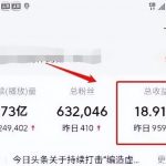 每天5分钟，日入过千的抖音短视频蓝海项目实操攻略【分享】