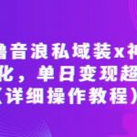 抖音撸音浪私域装X神器二次转化，单日变现超500（详细操作教程）【揭秘】