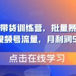 视频号矩阵带货训练营，批量暴力起号，撬动视频号流量，月利润5W+