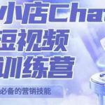PETER抖音小店CHATGPT+AI短视频实操训练营，10分钟制作一条爆款带货视频，新品上架7天引爆销量