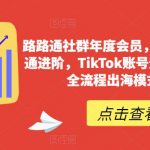 路路通社群年度会员，从0基础到精通进阶，TIKTOK账号运营到变现的全流程出海模式培训