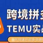 大鹏出海·拼多多跨境TEMU运营指导，开店注册+选品+核价上架，日出千单实战课
