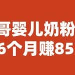 宝哥婴儿奶粉项目，6个月赚85W【图文非视频】【揭秘】