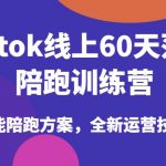 TIKTOK线上60天落地陪跑训练营，独家赋能陪跑方案，全新运营技巧干货