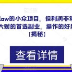 一个很LOW的小众项目，但利润非常巨大，闷声发大财的首选副业，操作的好月入过万【揭秘】