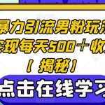 SOUL暴力引流男粉玩法，轻松实现每天500＋收益！【揭秘】