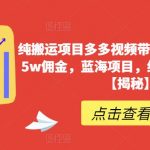 纯搬运项目多多视频带货，一个月搞了5W佣金，蓝海项目，纯小白也能操作【揭秘】