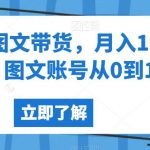 抖音图文带货，月入10W+，图文账号从0到1【揭秘】