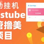 外面收费几千上万的VISIONSTUBE愿景管撸美金项目，单日收益30-50美金+工作室可批量多开搞