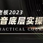 视频号好物分享解析，简单粗暴可以批量方大的项目【揭秘】