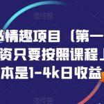 火爆小红书情趣项目（第一版+第二版），0投资只要按照课程上的做，基本是1-4K日收益