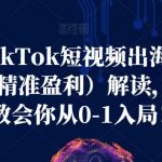 海外TIKTOK短视频出海启航营（学习精准盈利）解读，手把手教会你从0-1入局！