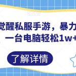 口袋觉醒私服手游，暴力项目，一台电脑轻松1W+【揭秘】