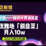 爱豆新媒：如何优雅地「割韭菜」月入10W的秘诀（2023年9月版）