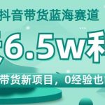 抖音带货蓝海赛道，国学带货新项目，0经验也能做，4天6.5W利润【揭秘】
