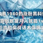 外面收费1980的涨粉黑科技项目，只靠做数据月入就能1W+【揭秘】