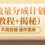 价值几百上千不用剪辑简单操作视频号流量分成计划（实操教程+揭秘）