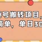 视频号搬砖项目，操作简单，单日300+