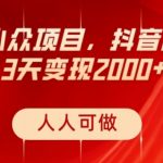 蓝海小众项目，抖音故事号，三天变现2000+，人人可做！