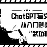 CHATGPT写文章，从入门秒变高手的‘武功秘籍’【揭秘】