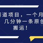 蓝海赛道项目，一个月搞了1万多！几分钟一条原创视频搬运！