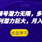 腾讯视频号潜力无限，多账号运营，盈利潜力巨大，月入10w+