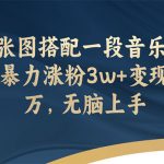 《图片+音乐文案号项目》3天暴力涨粉3w+变现上万，无脑上手
