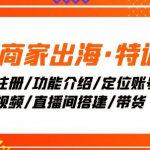 TK商家出海·特训营：ID注册/功能介绍/定位账号/爆款视频/直播间搭建/带货