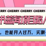 小红书蓝海项目路人消失术，帮人P图，也能月入过万，实测一天300+【揭秘】