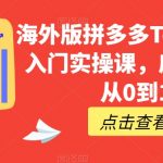 海外版拼多多TEMU快速入门实操课，店铺实战从0到1