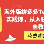 海外版拼多多TEMU从零到一实践课，从入驻到运营的最全教程