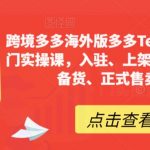 跨境多多海外版多多TEMU12天快速入门实操课，入驻、上架、审版、核价、备货、正式售卖全流程