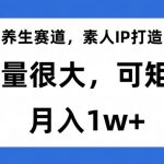 养生赛道，素人IP打造，流量很大，可矩阵，月入1W+【揭秘】