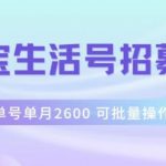 支付宝生活号作者招募计划，单号单月2600，可批量去做，工作室一人一个月轻松1W+【揭秘】