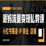 派妈流量变现私教课，小红书赛道IP  商业  店铺