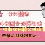 全网独家抖音图文矩阵引流，一招教你玩转公域流量，单号半月涨粉10W+【揭秘】
