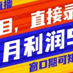 风口项目，小红书无人直播带货，直接录播，可矩阵，月入5W+【揭秘】