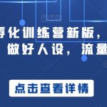 商业IP孵化训练营新版，教你做商业IP，做好人设，流量搞好钱