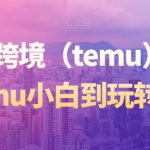 拼多多跨境（TEMU）课程，从TEMU小白到玩转TEMU