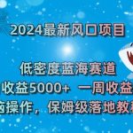 2024最新风口项目，低密度蓝海赛道，单日收益5000+，一周收益4W+！【揭秘】