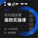 亚马逊运营高效实操课，LISTING优化，选品思路