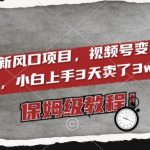 2024最新风口项目，视频号变老特效项目，电脑小白上手3天卖了3W+，保姆级教程【揭秘】