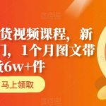 AI图文带货视频课程，新人基础入门，1个月图文带货6W+件