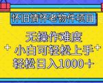 怀旧情怀老物件项目，无操作难度，小白可轻松上手，轻松日入1000+【揭秘】