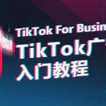 TIKTOK广告入门教程，从0到1掌握TIKTOK投放的全流程