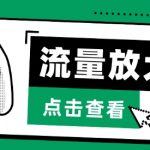流量放大器，抖音公私域变现+SOUL私域轰炸器【揭秘】