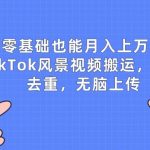 零基础也能月入上W，TIKTOK风景视频搬运，简单去重，无脑上传【揭秘】