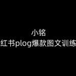 小铭-小红书PLOG爆款图文训练营，教你从0-1做小红书